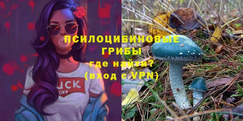 Галлюциногенные грибы Magic Shrooms  закладка  Заполярный 